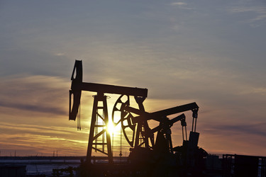 Similar image 13316721