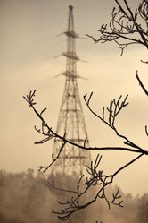 Similar image 13316729