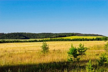 Similar image 13315616