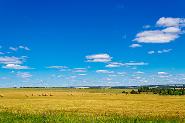 Similar image 13315621