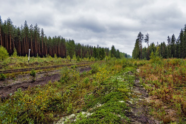 Similar image 13315643