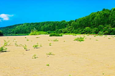 Similar image 13315649