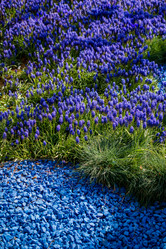 Similar image 13316287