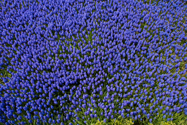 Similar image 13316302