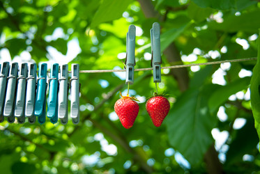 Similar image 13314302