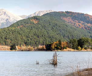 Similar image 13322635