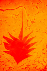 Similar image 13316307