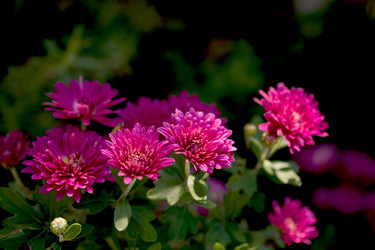 Similar image 13316308