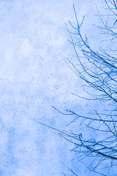 Similar image 13316310