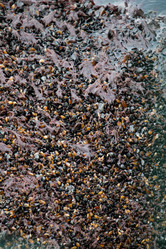 Similar image 13316313