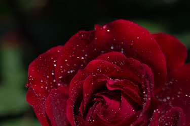 Similar image 13316323