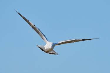 Similar image 13314315