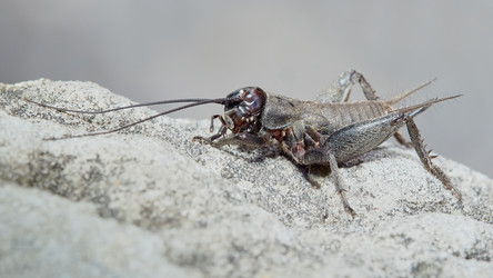 Similar image 13314316