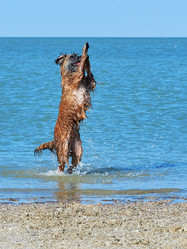 Similar image 13314317