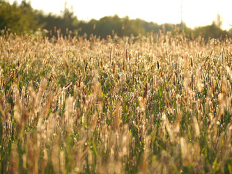 Similar image 13314322