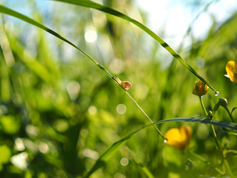 Similar image 13314323