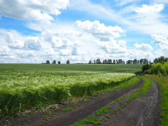 Similar image 13314325