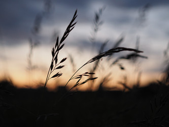 Similar image 13314326