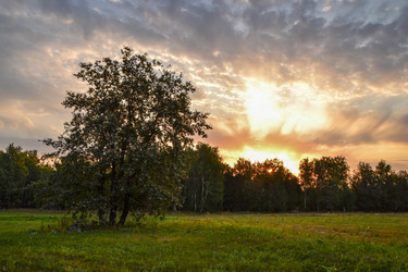 Similar image 13322610