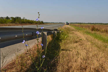 Similar image 13322612