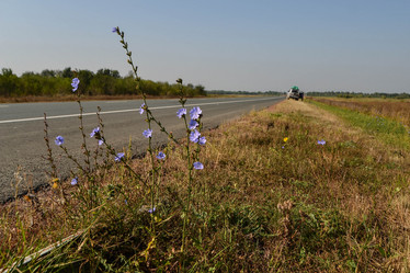 Similar image 13322613