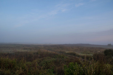 Similar image 13322621