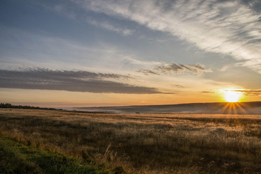 Similar image 13322624