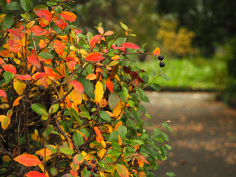 Similar image 13322191