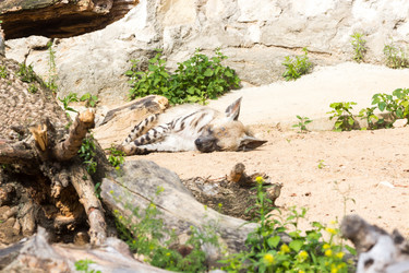 Similar image 13322757