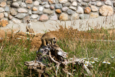 Similar image 13322758