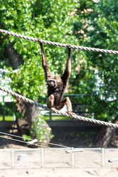 Similar image 13322764