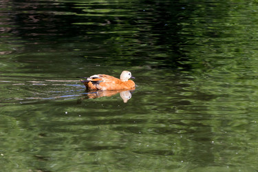 Similar image 13322767