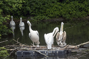 Similar image 13322772