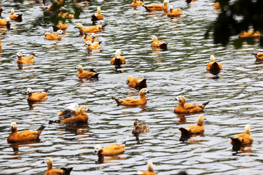 Similar image 13322773