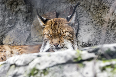 Similar image 13322775