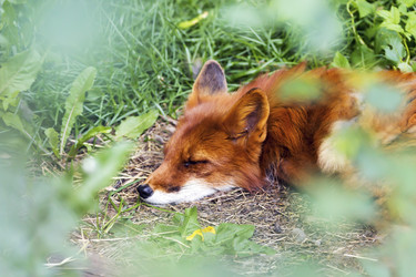 Similar image 13322776