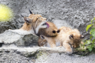 Similar image 13322802