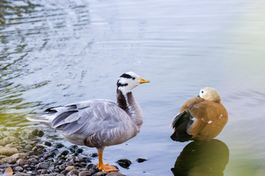 Similar image 13322805