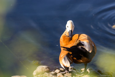 Similar image 13322809