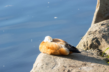 Similar image 13322824