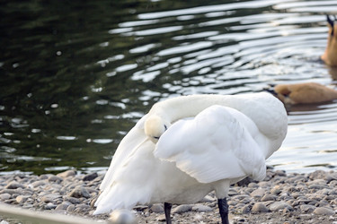 Similar image 13322826