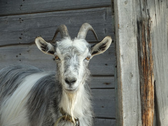 Similar image 13322311