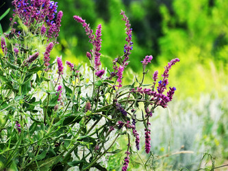 Similar image 13322312