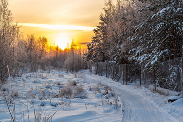 Similar image 13322463