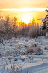 Similar image 13322464