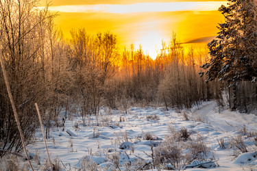 Similar image 13322465