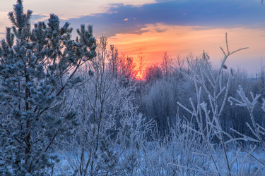 Similar image 13322466