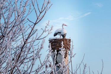 Similar image 13322507