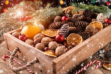 Similar image 13322869