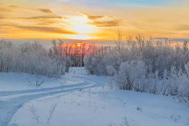 Similar image 13322473